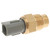 Coolant Fan Switch | BWDTFS627