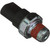 Oil Pressure Gauge Switch | BWDS4121