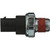 Oil Pressure Gauge Switch | BWDS4121