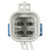 Oxygen Sensor Connector | BWDPT5803