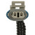 ABS Speed Sensor Wire Harness | BWDABH317
