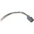 Oxygen Sensor Connector | BWDPT5525