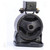Engine Mount Front | 62M9729
