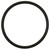 Fuel Pump O-Ring | BWDRGD21