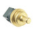 Coolant Temperature Sensor | BWDWT7256