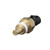 Temperature Sender - With Gauge | BWDWT3025