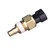 Temperature Sender - With Gauge | BWDWT3025