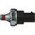 Oil Pressure Light Switch | BWDS4131