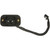 Park Assist Camera | BWDPAN193