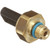 EGR Valve Pressure Feedback Sensor | BWDEGR652