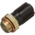 Coolant Fan Switch | BWDTFS695