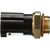Coolant Fan Switch | BWDTFS695