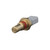 Temperature Sender - With Gauge | BWDWT427