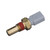 Temperature Sender - With Gauge | BWDWT427