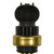 Coolant Temperature Sensor | BWDWT5278