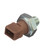 Oil Pressure Light Switch | BWDS4065
