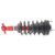 Complete Corner Unit Performance Assembly -Strut, Mount and Spring | KYBSRM4079