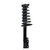 Quick-Strut Rear Left Suspension Strut and Coil Spring Assembly | MON171681