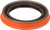 Automatic Transmission Oil Pump Seal | SKF20724A
