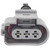 Crankshaft Sensor Connector | BWDPT2783
