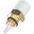 Intake Air Temperature Sensor | BWDWT3077