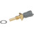 Coolant Temperature Sensor | BWDWT3069