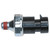 Oil Pressure Light Switch | BWDS4055