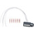 Neutral Safety Switch Connector | BWDPT1014