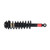 Quick-Strut Rear Suspension Strut and Coil Spring Assembly | MON172695