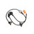 ABS Speed Sensor | BWDABS1113