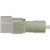 Stoplight Switch | BWDS41155