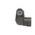 Crankshaft Sensor | BWDCSS564