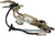 Fuel Pump Assembly | SPESP2151H