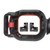 Fuel Vapor Canister | BWDCP1338