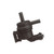 Canister Purge Solenoid | BWDCP725