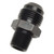 4AN Straight Flare To 1/4" Pipe Adapter Fitting With Black Finish | RUS660433