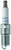 Laser Platinum Spark Plug - Qty 1 | NGK5598