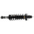 Complete Corner Unit Assembly -Strut, Mount and Spring | KYBSR4535