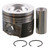 Cast Piston | SEP2788P .50MM