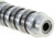 NTK Engine Variable Valve Timing (VVT) Solenoid | NGKVV0145