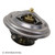 Thermostat | BEC143-0700