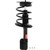Quick-Strut Front Right Suspension Strut and Coil Spring Assembly | MON172604