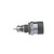 Fuel Pressure Regulator | BWD24250