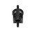 Canister Purge Solenoid | BWDCP569