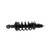 Complete Corner Unit Assembly -Strut, Mount and Spring | KYBSR4244