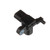 Camshaft Sensor | BWDCSS1618