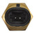 Intake Air Temperature Sensor | BWDWT2003