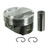 Cast Piston | SEPH1525CP .75MM