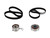 Timing Belt Kit Without Water Pump | CONTB244-186K1