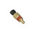 Coolant Temperature Sensor | BWDWT3000